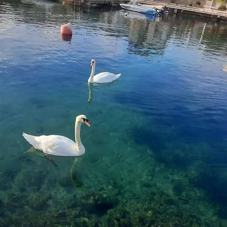 Sunshine Place By The Daire *